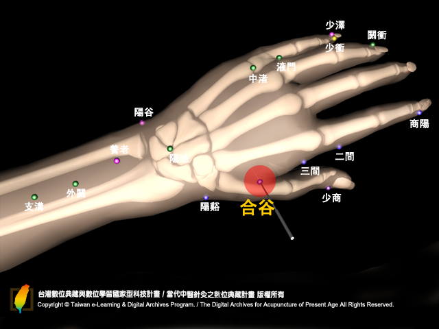 合谷穴