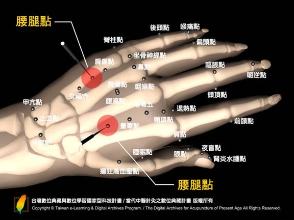 HdNw1腰腿點-back-bone-p.png